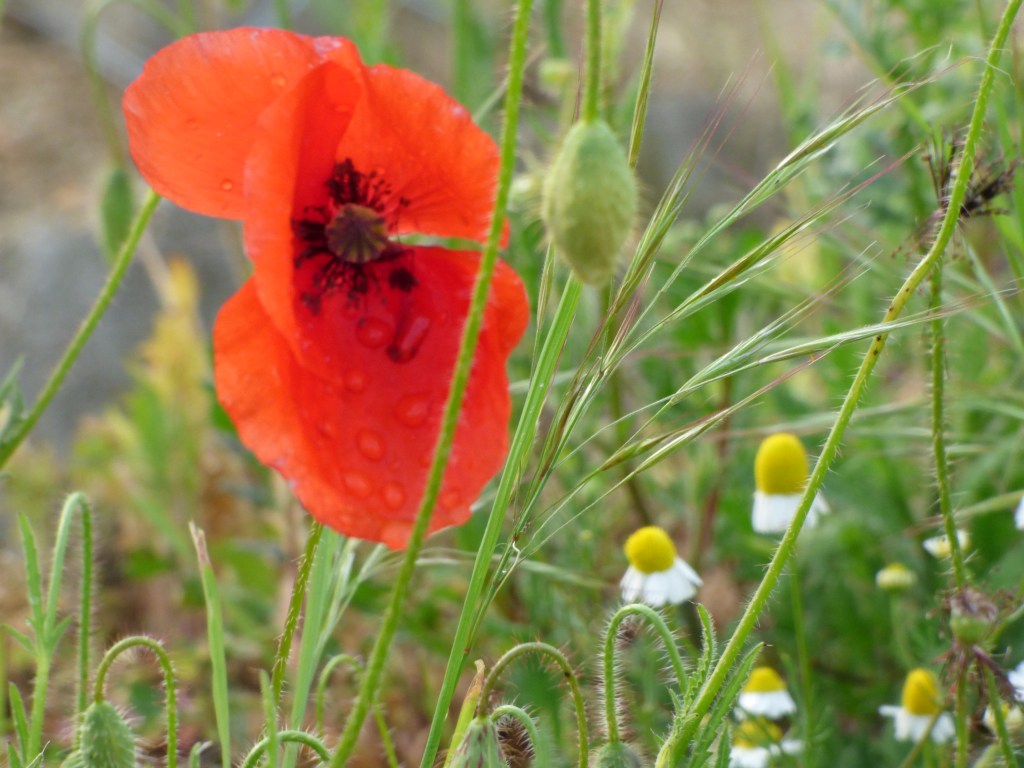 Югозападно безвремие