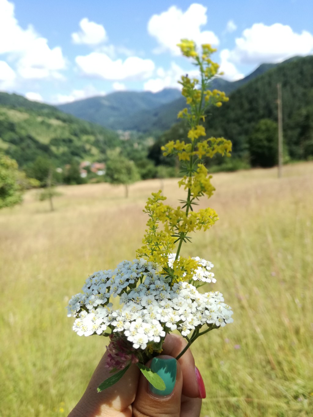 Безвремие по детски в&nbsp;Рибарица