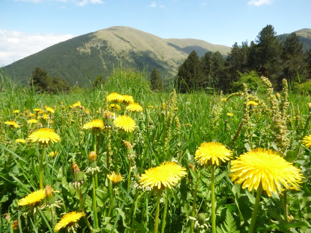 Славянка планина – непознатата&nbsp;красавица