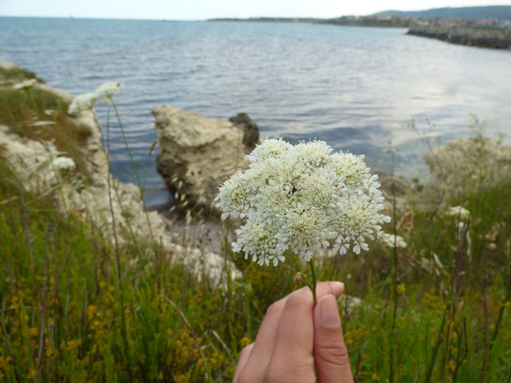 Царево – море, уют и&nbsp;романтика